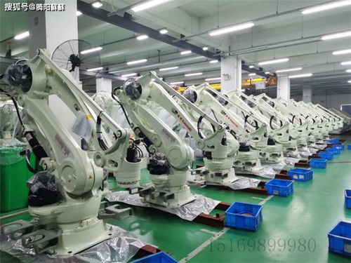 高效自動化基石 碼垛機器人的核心組成與智能化工作流程解析